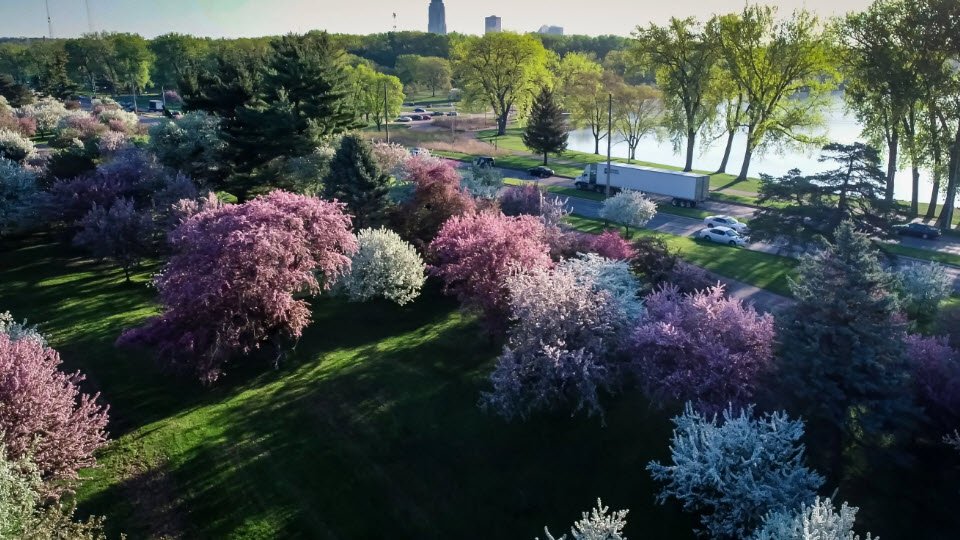 Arie den Boer Arboretum, United States